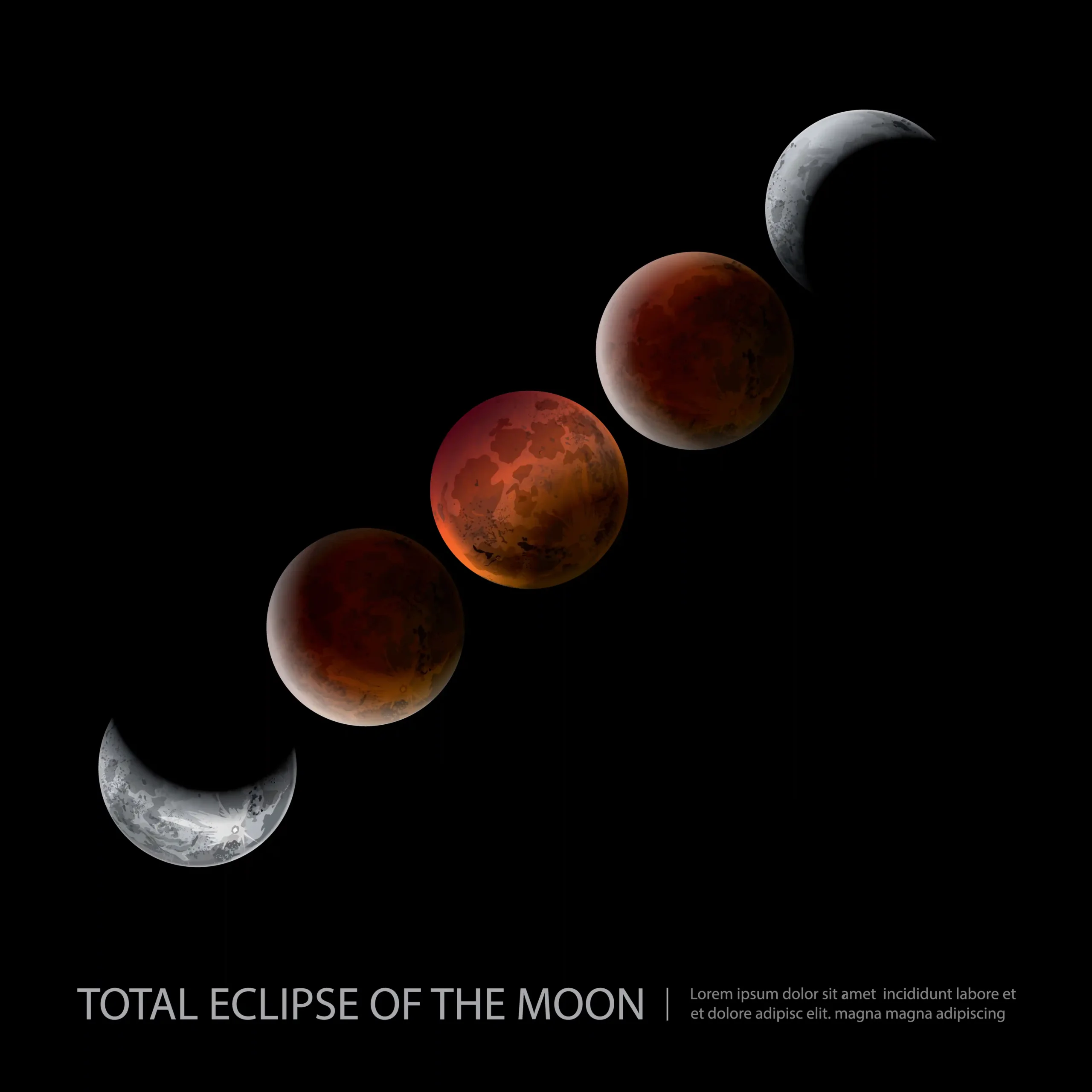 moon phases
